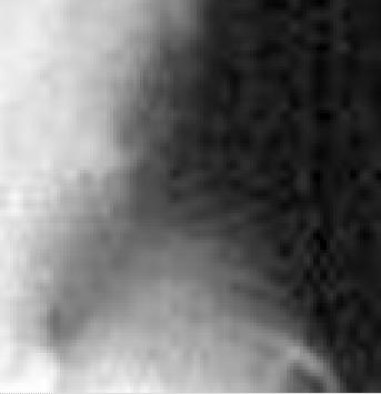 jd1neck.jpg (9358 bytes)